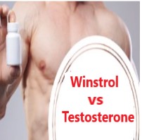 Comparison of Winstrol vs Testosterone for cutting and bulking
